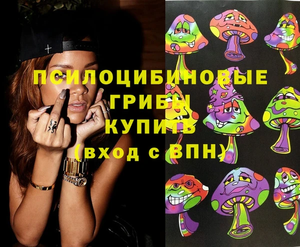 Альфа ПВП Арсеньев