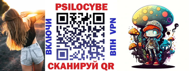 где купить наркоту  Староминская  Псилоцибиновые грибы Psilocybe 